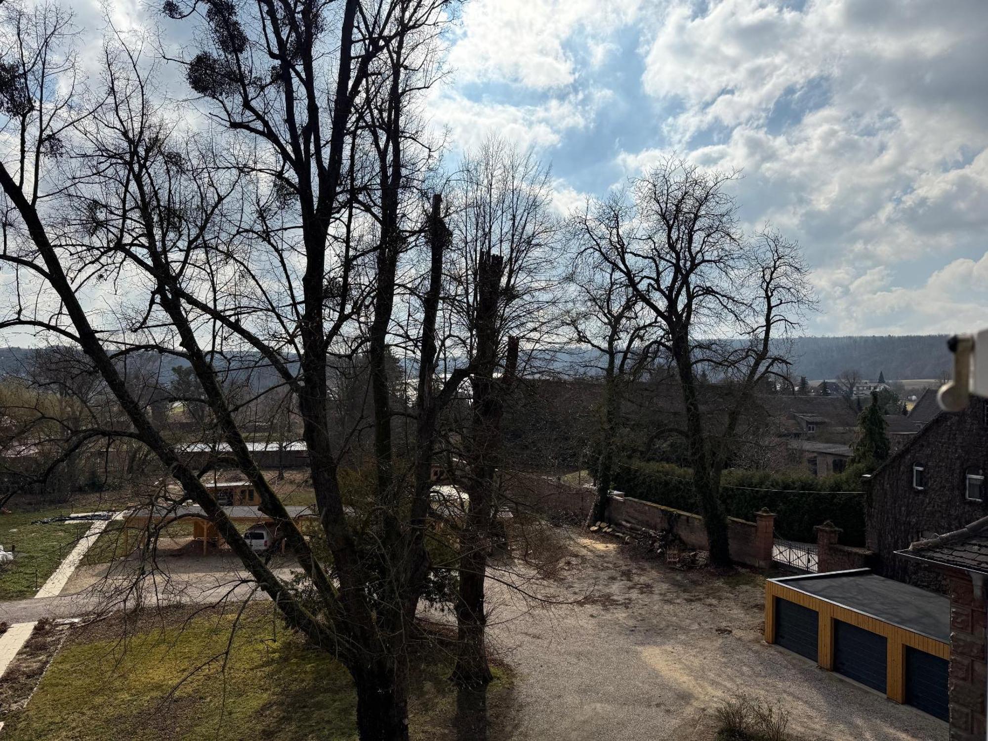 Schloss Zingst Querfurt Екстер'єр фото